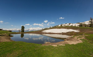 Siripaye Meadows